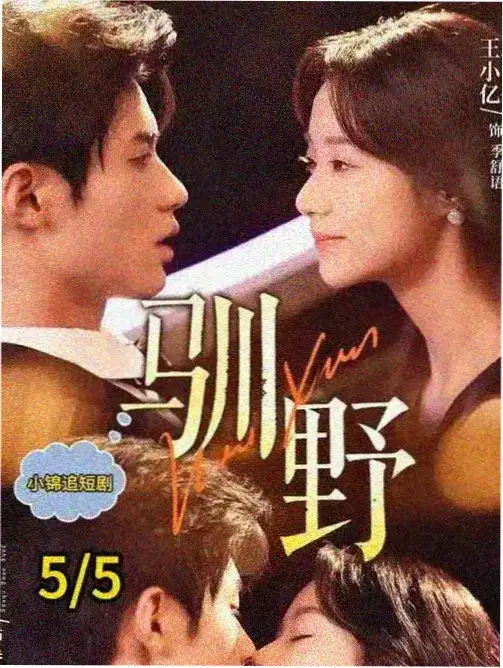 风骚律师